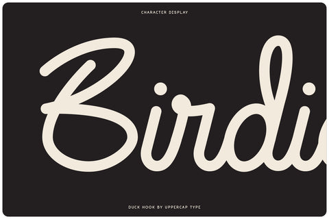 Duck Hook - Script & Sans Font Duo