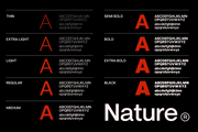ZT Nature