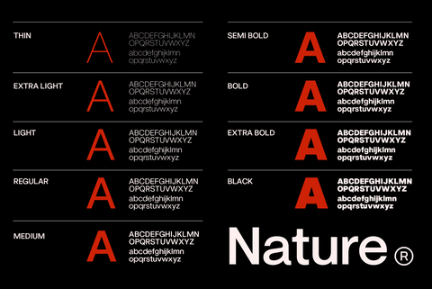 ZT Nature