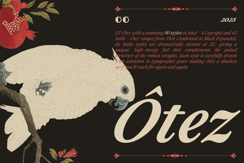 ZT Otez Serif