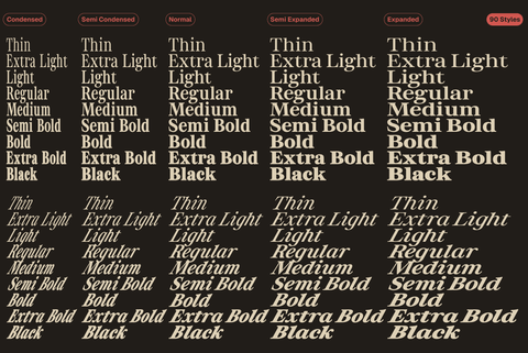 ZT Otez Serif