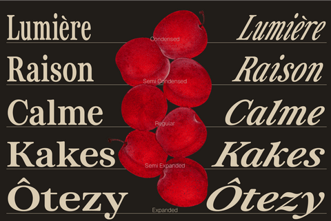 ZT Otez Serif