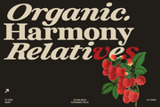 ZT Otez Serif