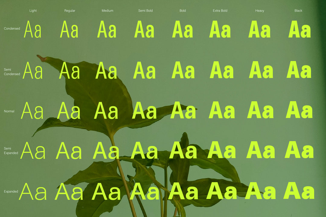 SANS 401 テキスト mqdefault.jpg
