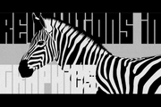 Zebra - Experimental Display Font - Pixel Surplus