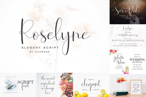 Best Wedding Font Bundle