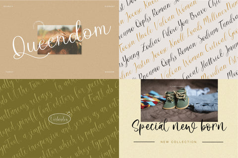 The Modern Script Font Bundle