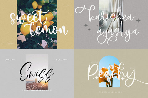 The Modern Script Font Bundle