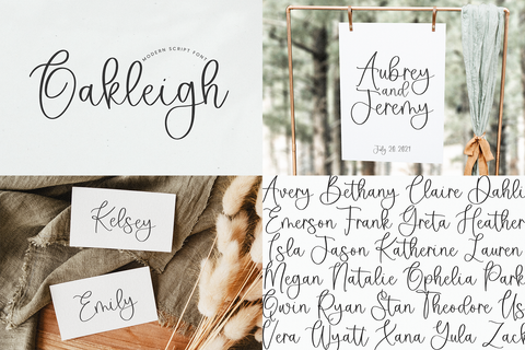 BIG Font Bundle | PART 2