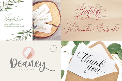 The Modern Script Font Bundle