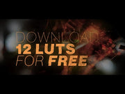 12 Free LUTs Pack