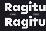 Unitea Sans Serif Family