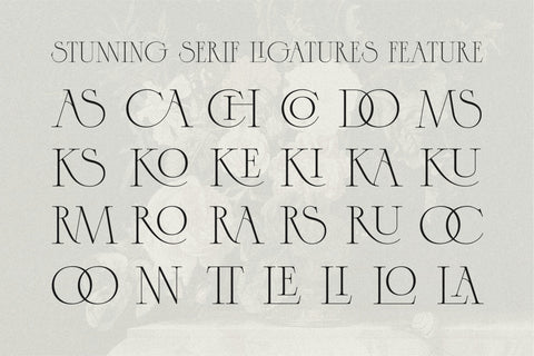 Caseopia - Elegant Display Serif Font