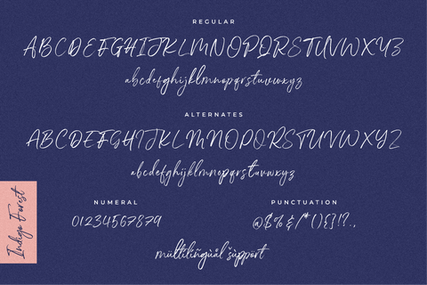 Indigo Forest - Handwritten Brush Font