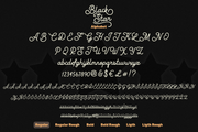 Black Star - Monoline Script Typeface