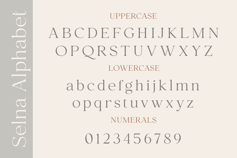 Selna - Modern Serif Font