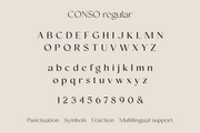 Conso - Font Family