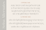 Selna - Modern Serif Font