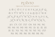 Puanto - Elegant Serif Typeface
