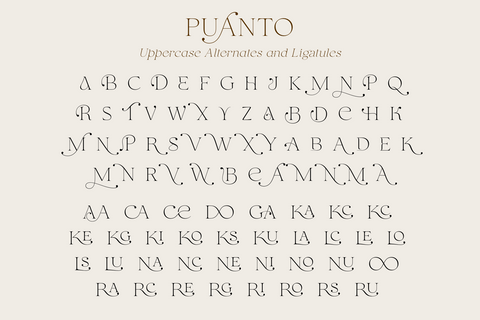Puanto - Elegant Serif Typeface