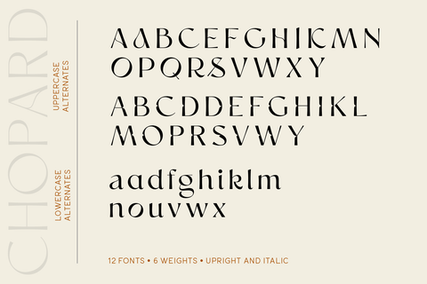 Chopard - Modern Sans Serif Font Family – Pixel Surplus