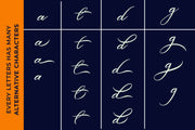 Belgian Signature - Free Stylish Modern Calligraphy Font - Pixel Surplus