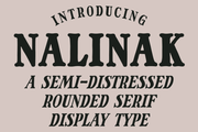Nalinak - Free Rounded Serif Font - Pixel Surplus