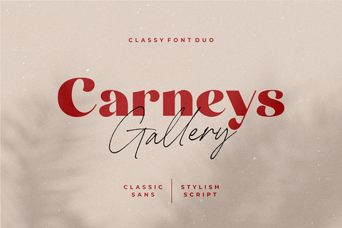 Carney's Gallery - Font Duo