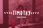 Timothy - Free Quirky Hand Drawn Typeface - Pixel Surplus