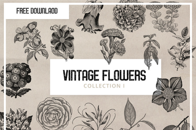 Free Vintage Flower Graphics - Pixel Surplus