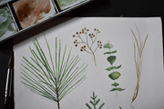 Free Winter Greenery Graphics Collection - Pixel Surplus