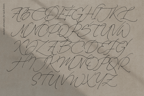 La Monte - Calligraphy Script Font