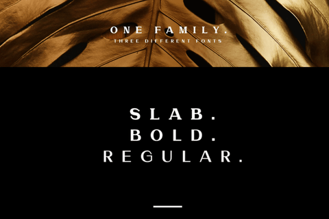 Torres - Free Luxury Font Family - Pixel Surplus