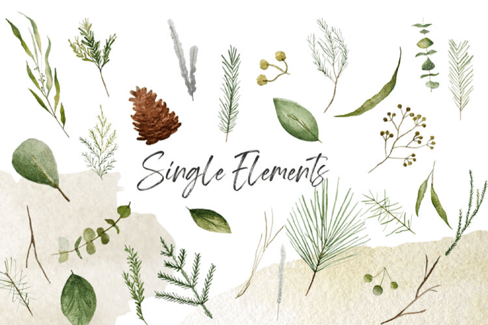Free Winter Greenery Graphics Collection – Pixel Surplus
