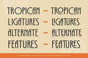 Tropican - Display Sans Serif Font