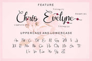 Evelyne - Free Calligraphy Font