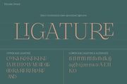 Klimaks - Luxury Serif Font Family