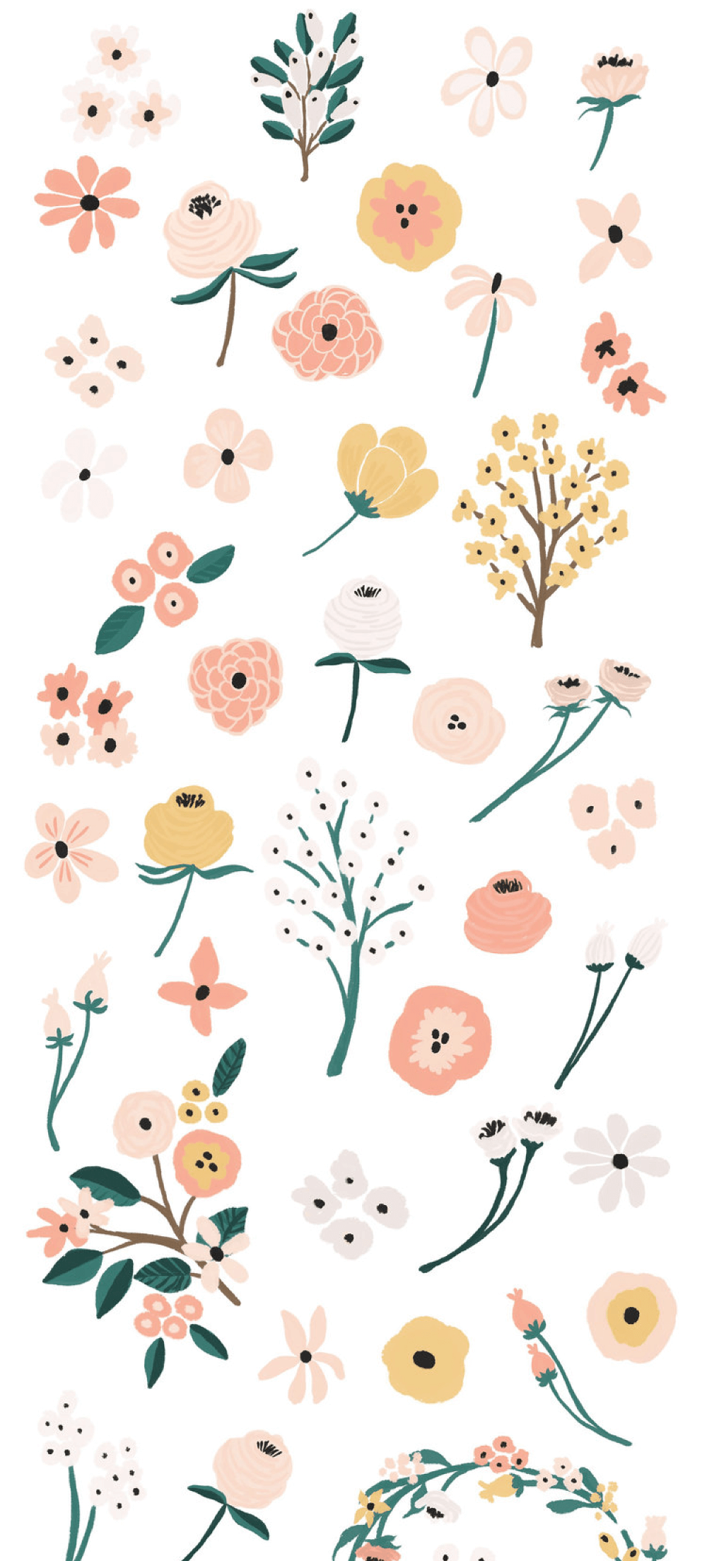 Lillia - Free Floral Illustration Sample - Pixel Surplus
