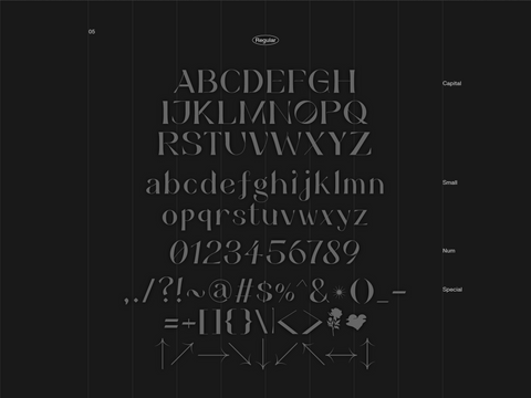 areminiscentsmile - Free Elegant Serif Typeface