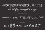 Showtime - Free Handmade Calligraphy Font - Pixel Surplus