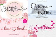 All Collections Font Bundle