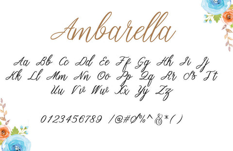 Ambarella - Pixel Surplus