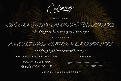 Caliway - Casual Handwritten Font