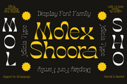 Molex Shoora - Retro Reverse Contrast Font