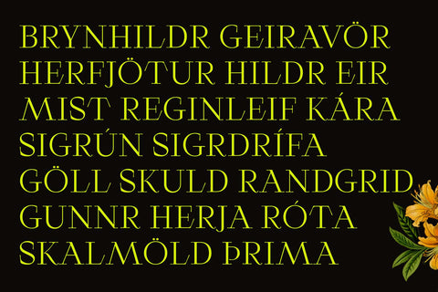 ED Randgrid Typeface