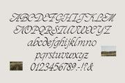 ED - Sonar Typeface