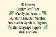 ED Bienova - Display Serif