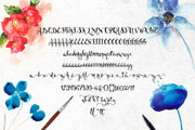 Bellanche - Free Modern Calligraphy Script Font
