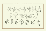 Botanical - Hand Drawn Serif Font + Illustrations