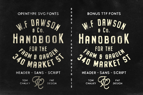 Buckwheat - Free Handpainted SVG Font - Pixel Surplus
